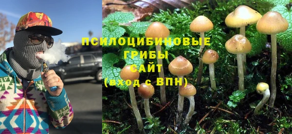 кокс Алзамай
