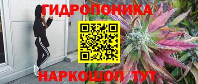 мдма Заводоуковск